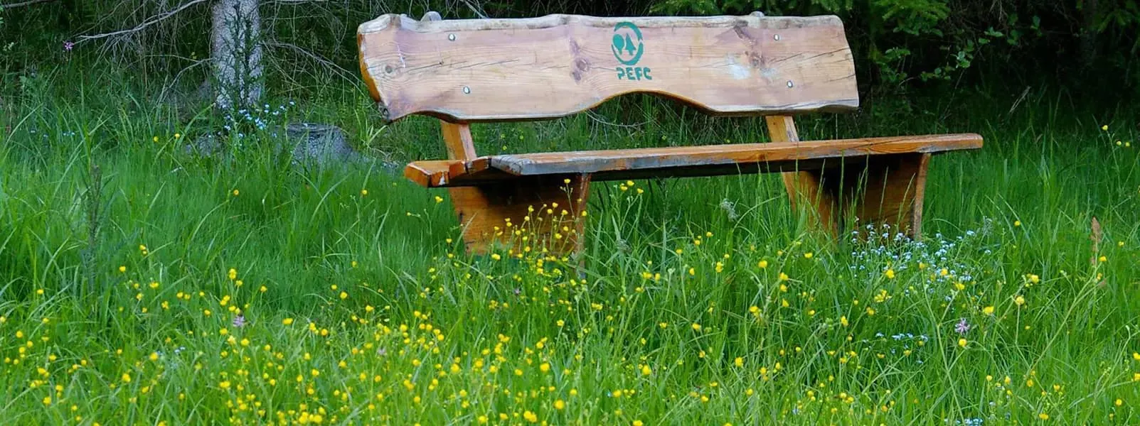Lavička s logom PEFC v lúke